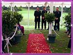 Red carpet from Creative Touch Decorations
